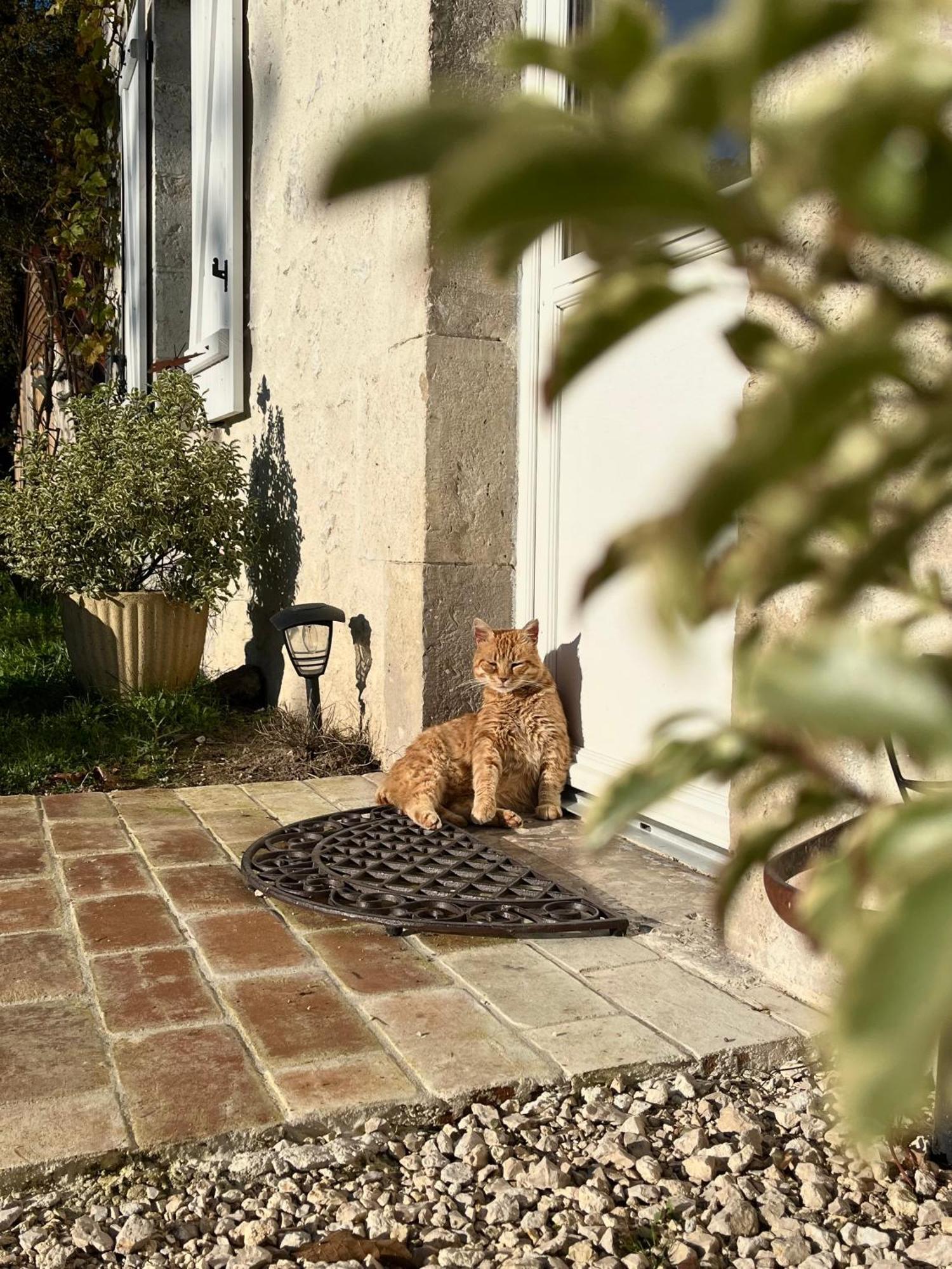 Maison Moz Fontaines-en-Sologne المظهر الخارجي الصورة